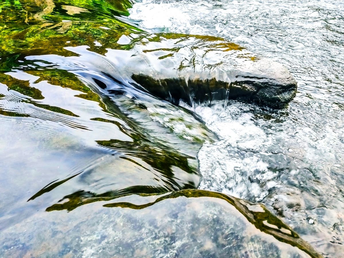 takonoma Water – Shirakawa Spring(from Aso, Kumamoto)